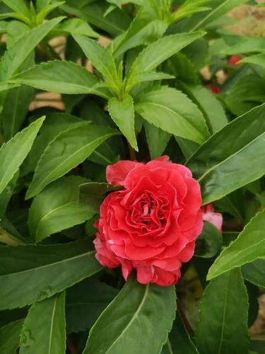 微信图片_20201208180129