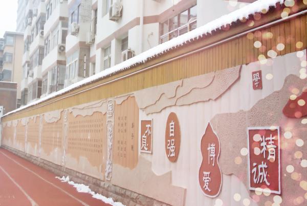 郑州49中雪景（14）