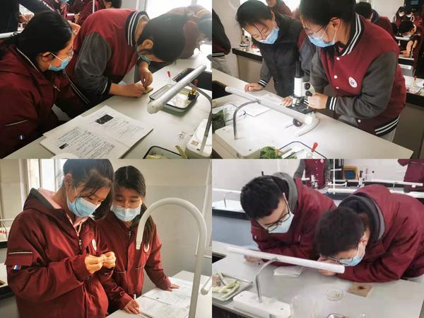 学生“兵教兵”，严扣细节，互相熟练。