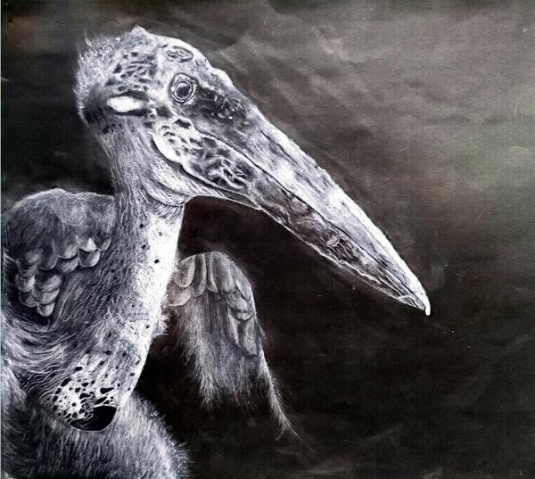 校园吉尼斯 (18)