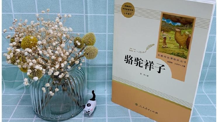 【书香校园】第二周好书分享《骆驼祥子》《教育的智慧》